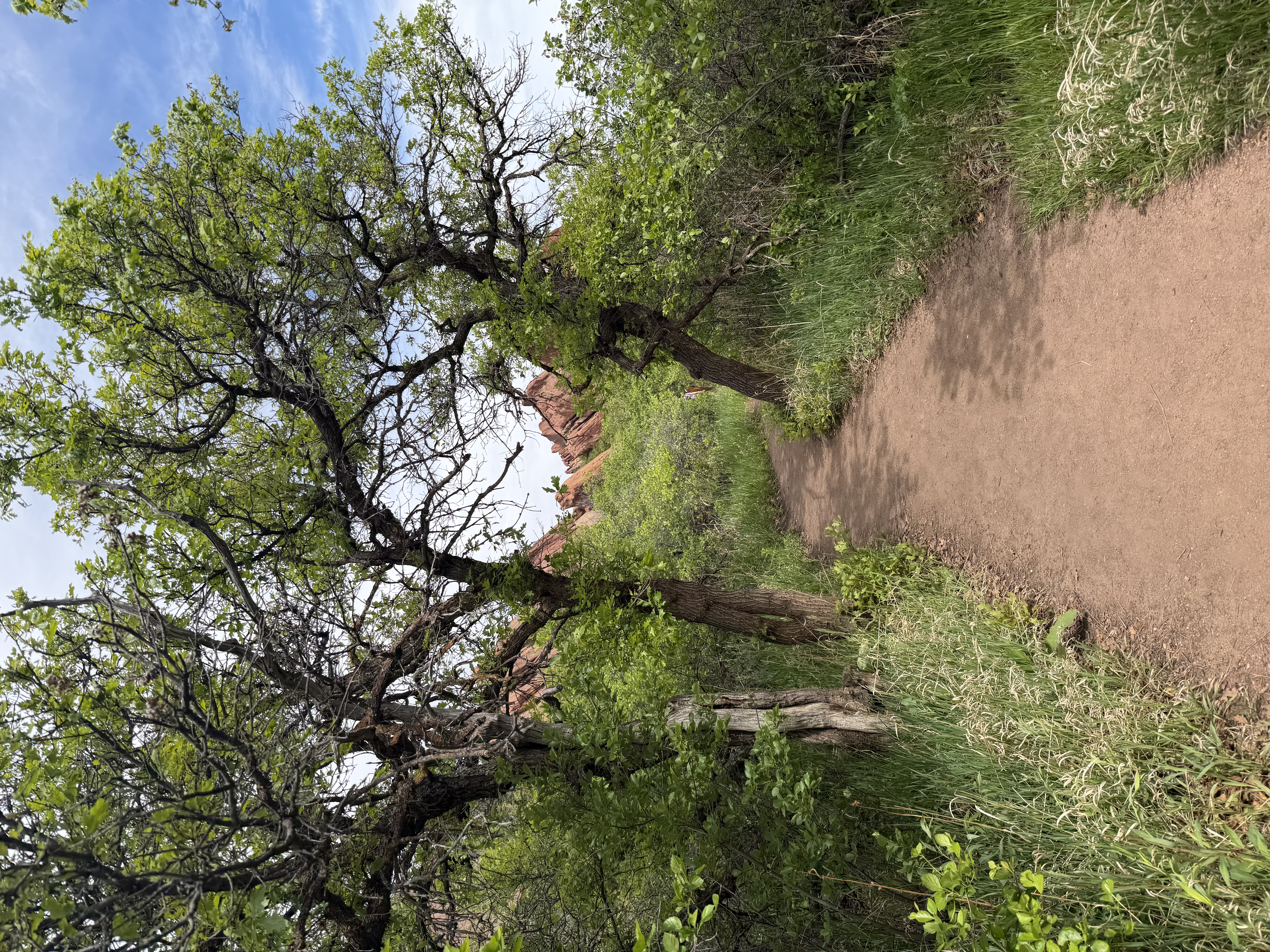 South Rim & Willow Creek Loop Trail