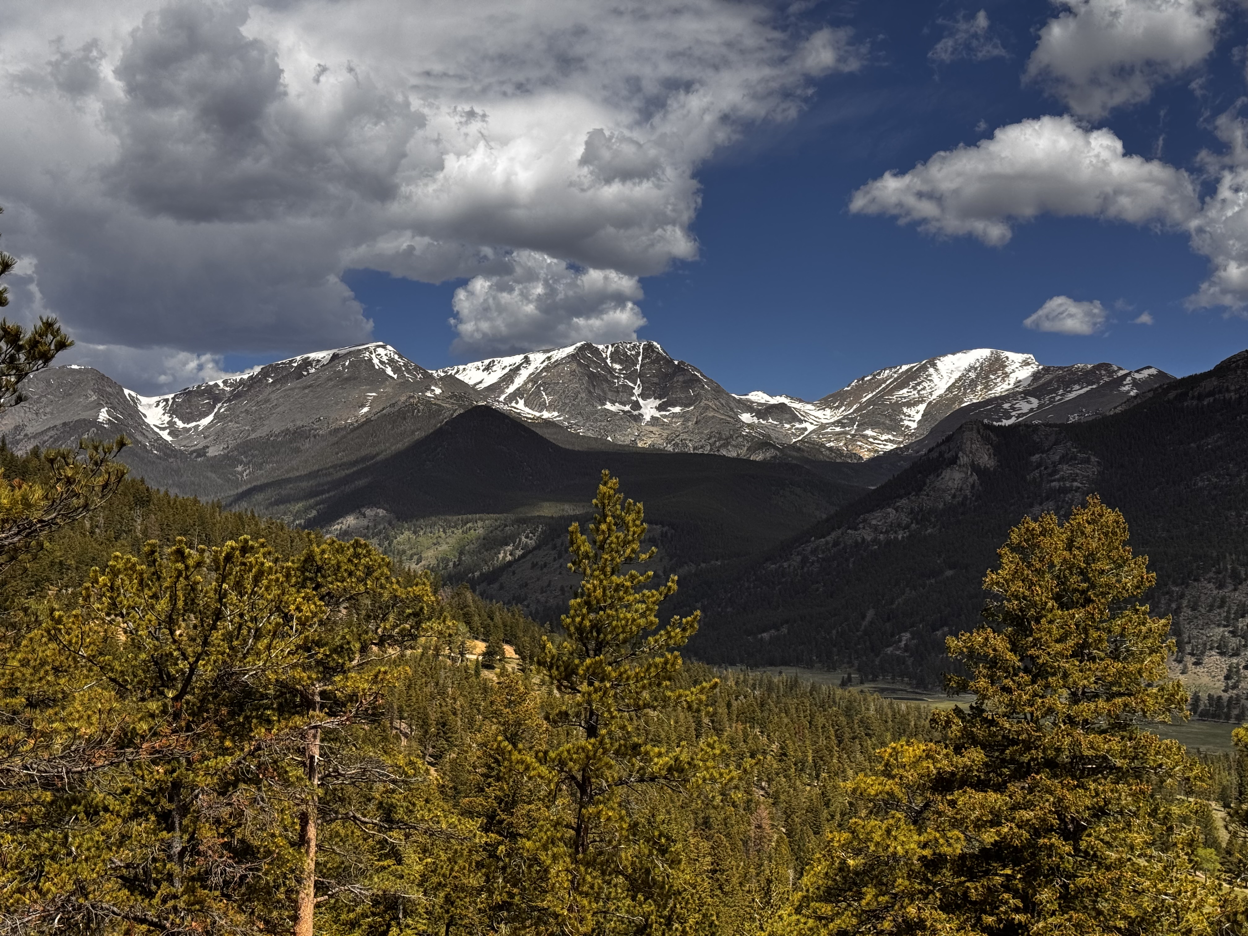 Deer Mountain
