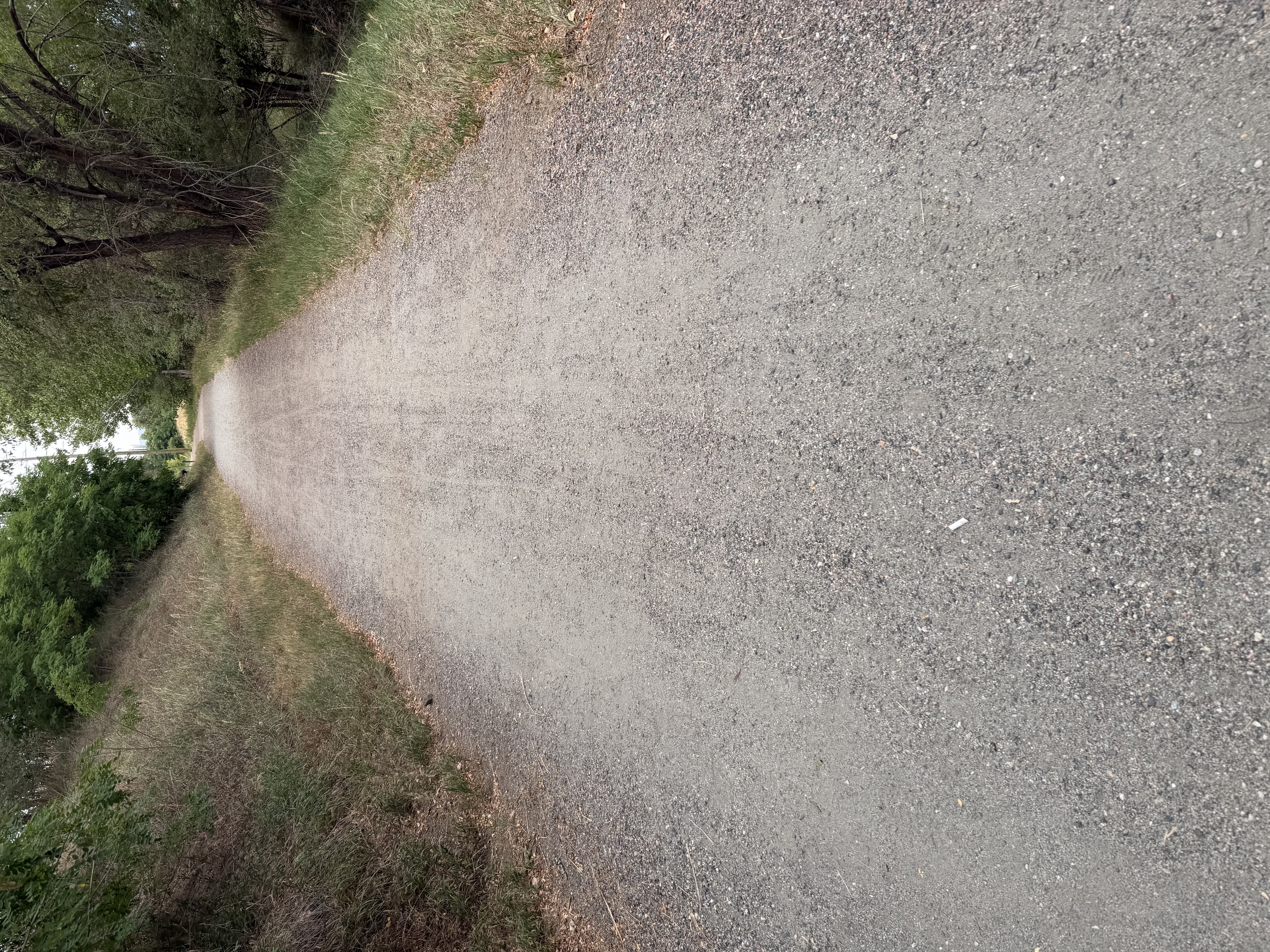 Local Trail — Pack Training Day 3