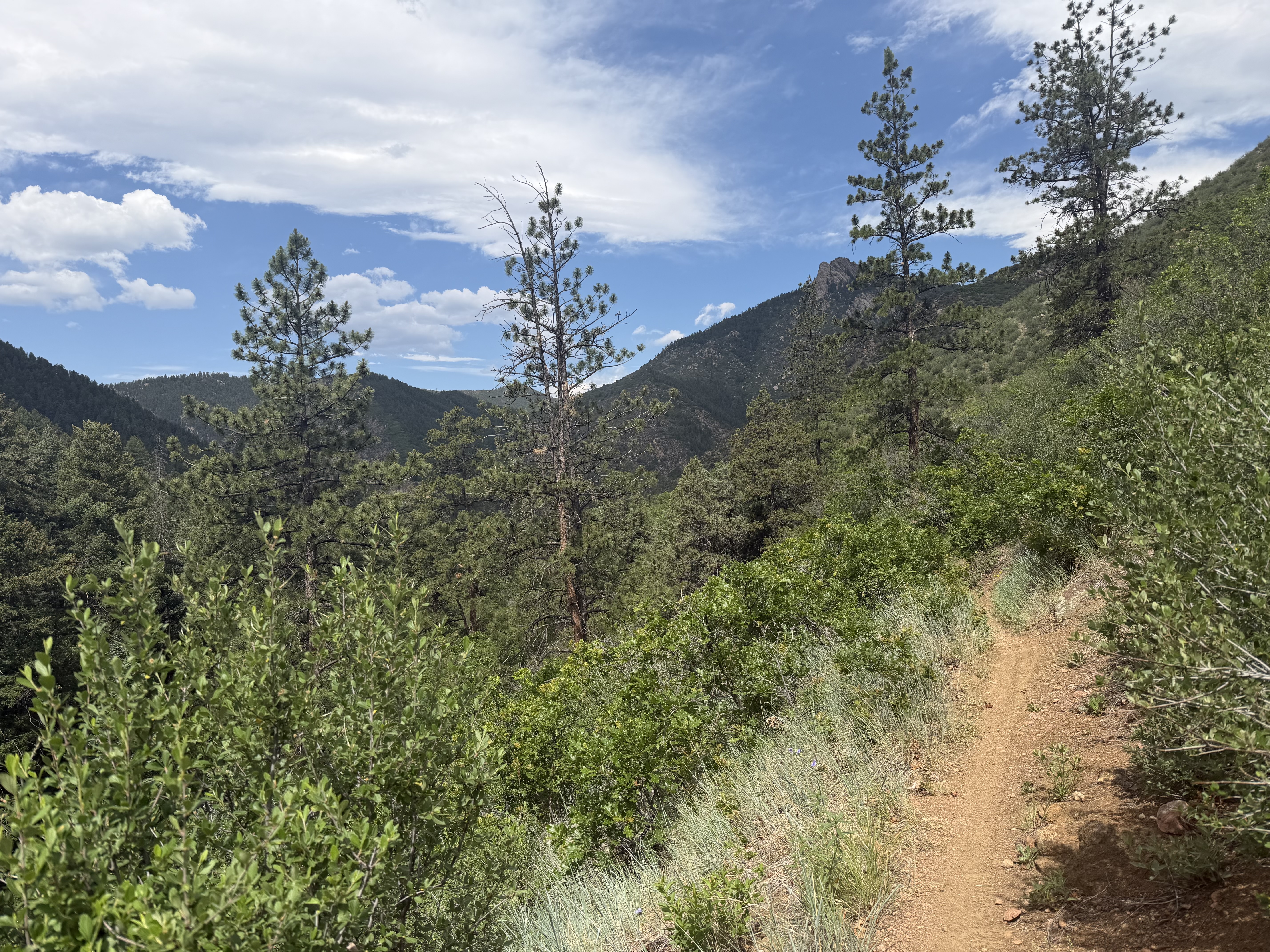 Indian Creek & Stephens Gulch Loop